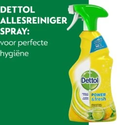 Dettol - Power & Fresh - Allesreinger Spray - Citrus - 6 X 500 Ml -Huishoudelijke Artikelen Winkel 1150x1200 1