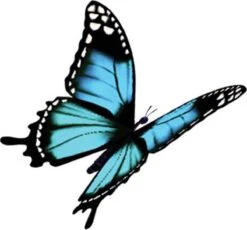 4x Robijn Klein & Krachtig Wasmiddel Black Velvet 1,19 Liter -Huishoudelijke Artikelen Winkel 1200x1118