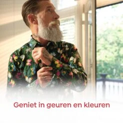 Robijn Pink Sensation Dry Wash Spray - 2 X 200 Ml - Voordeelverpakking -Huishoudelijke Artikelen Winkel 1200x1200 211