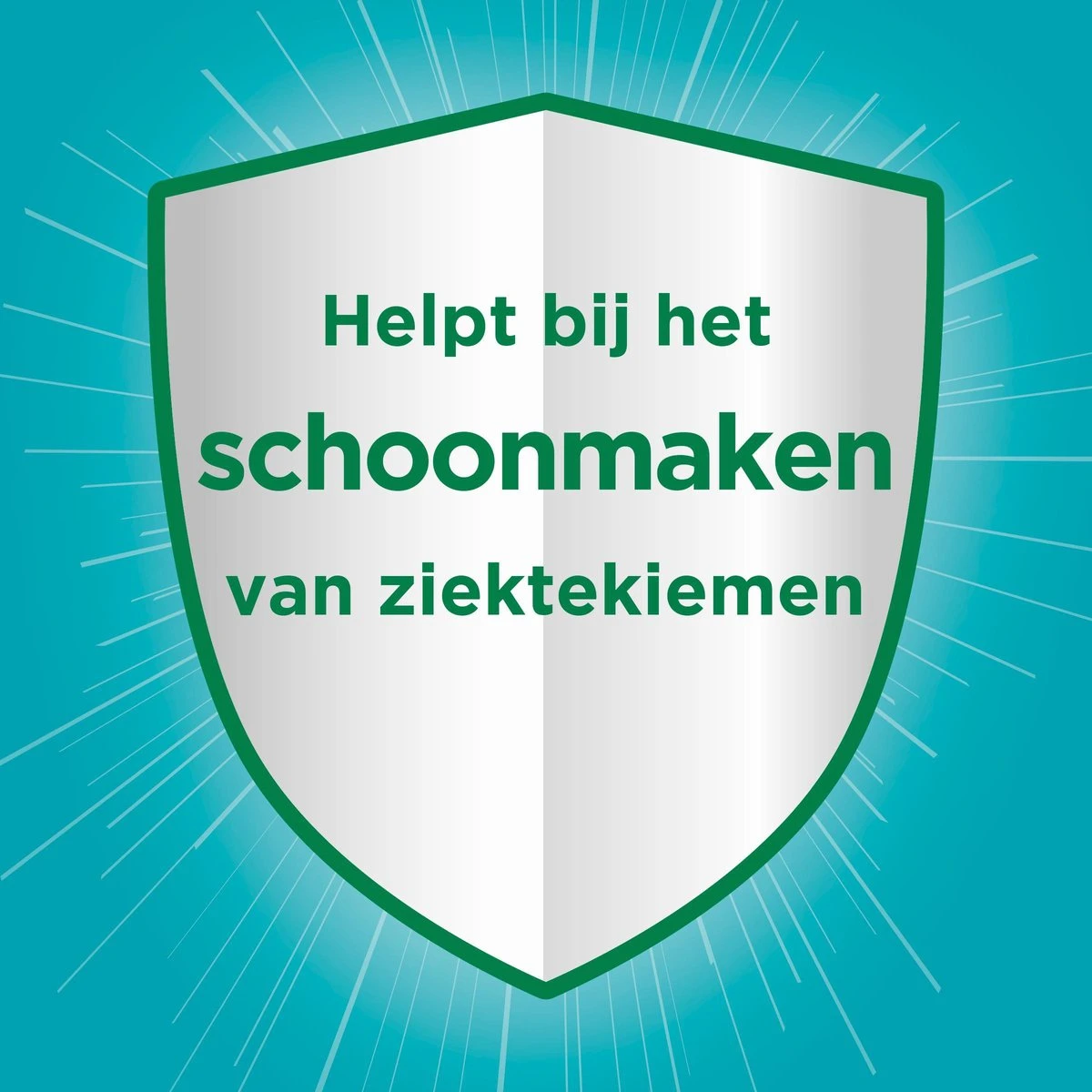 Ajax® Ajax Allesreiniger Eucalyptus 6 X 1.25L - Voordeelverpakking 8 Ajax® Ajax Allesreiniger Eucalyptus 6 X 1.25L - Voordeelverpakking - Afbeelding 6