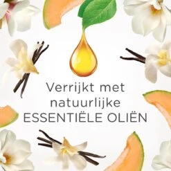 Air Wick Elektrische Luchtverfrisser - Zalige Zomer - 3 Navullingen -Huishoudelijke Artikelen Winkel 1200x1200 262