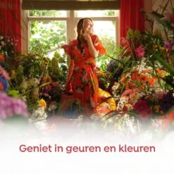 Robijn Klein & Krachtig Rosé Chique Vloeibaar Wasmiddel - 8 X 19 Wasbeurten - Voordeelverpakking -Huishoudelijke Artikelen Winkel 1200x1200 93