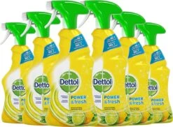 Dettol - Power & Fresh - Allesreinger Spray - Citrus - 6 X 500 Ml -Huishoudelijke Artikelen Winkel 1200x885